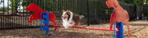 Dog Parks from Commercial Recreation Group